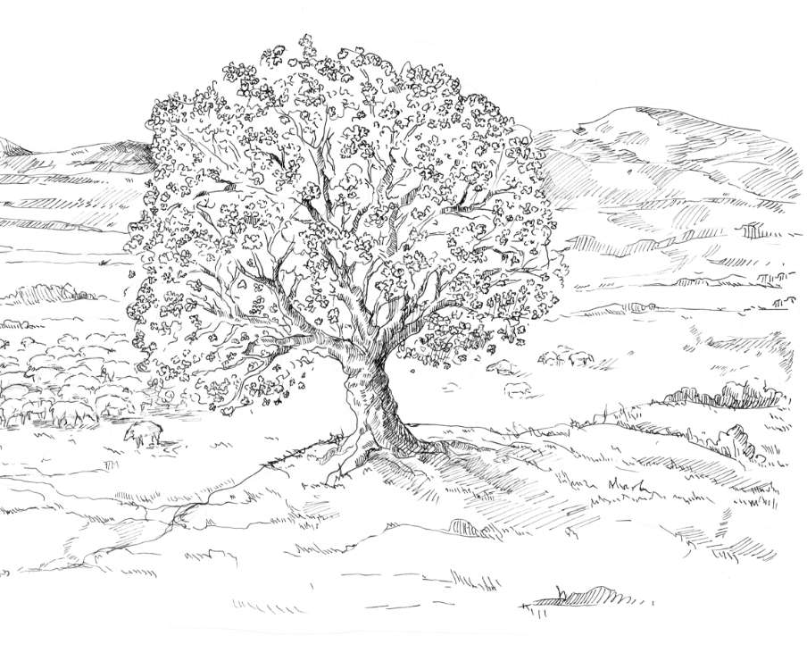 Illustration of a tree and landscape