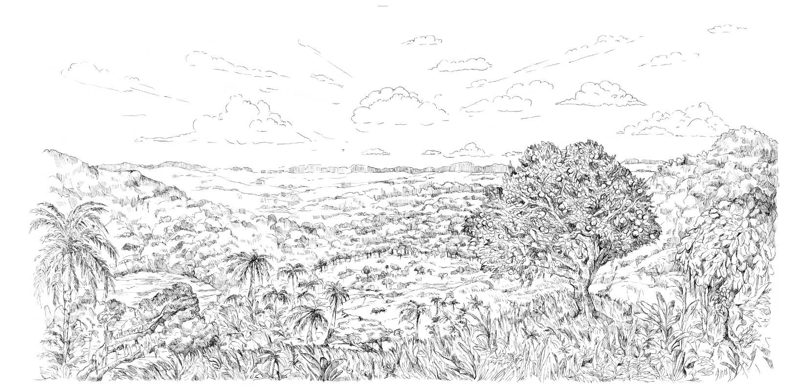 Illustration of a landscape