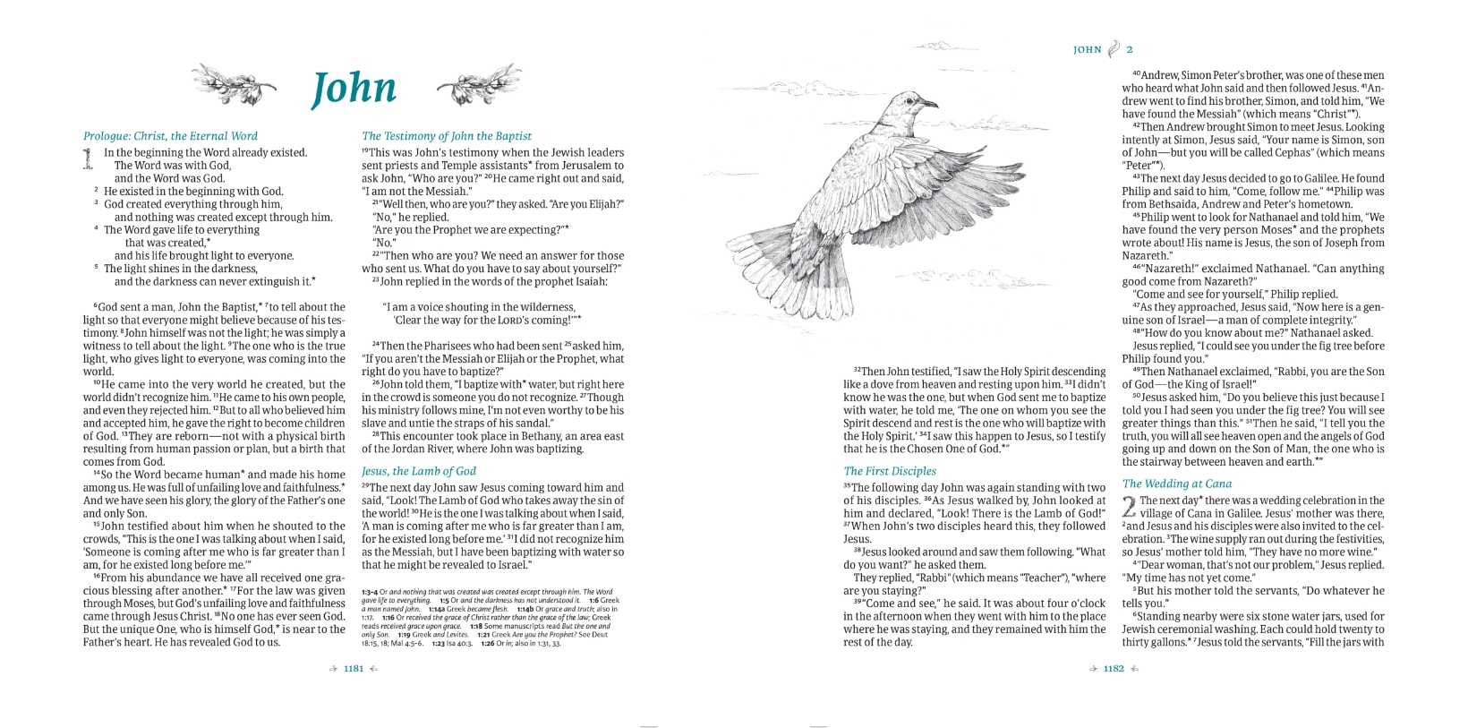 A sample of a page layout from the Art of Life Bible