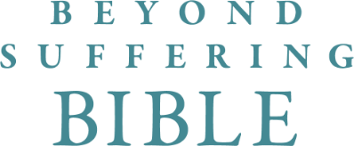 Beyond Suffering Bible NLT, Tutone : Where Struggles Seem Endless, God's  Hope Is Infinite (2016, Imitation Leather) for sale online