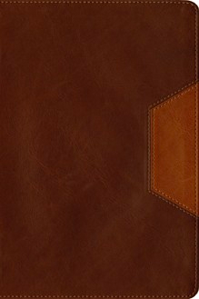 Cover image of the Christian Basics Bible, LeatherLike TuTone, brown, tan-indexed, ribbon