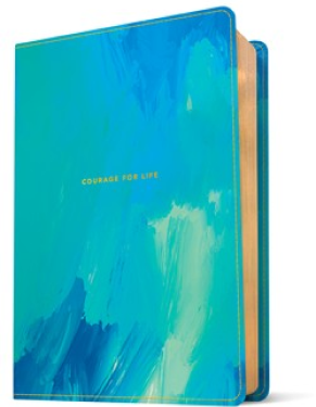 Cover of The One Year Bible by Tyndale House Publishers