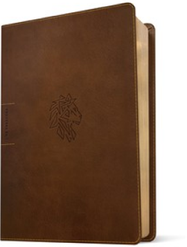 Cover of The One Year Bible by Tyndale House Publishers