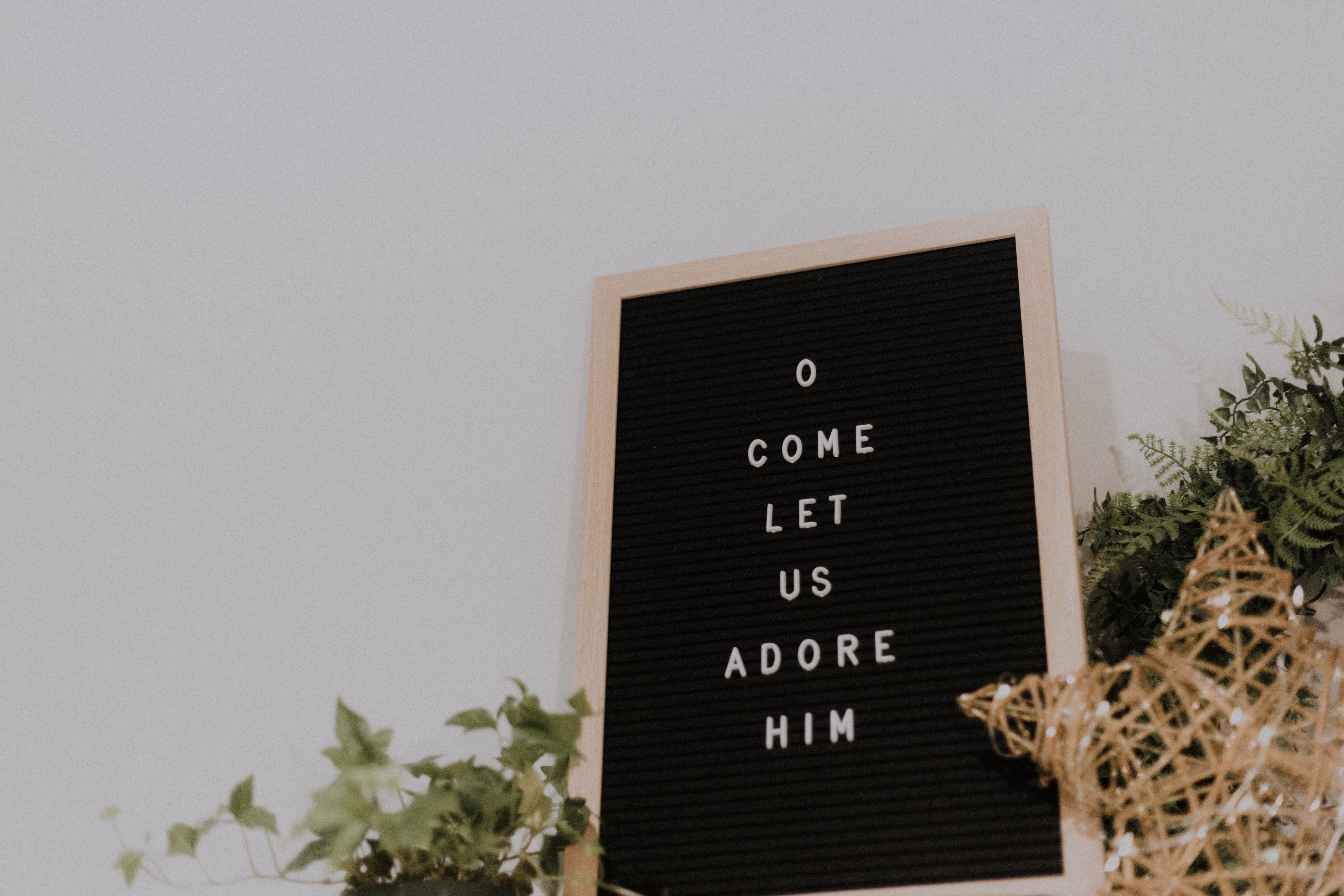 Board with "O come let us adore Him" on it | Lynn Austin on Her New Novella, The Wish Book Christmas