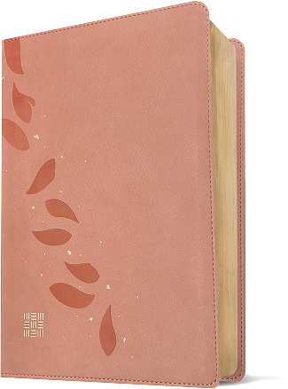 product-3