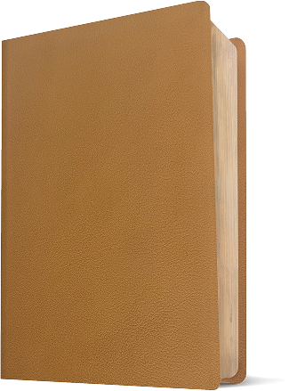 product-3