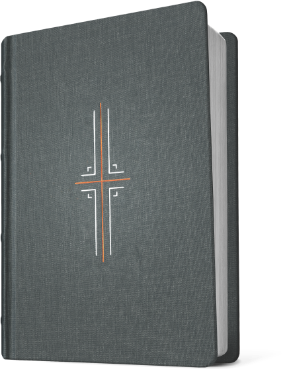 Filament Bible in Gray Cloth Hardcover binding