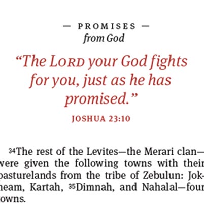Inset view of a HelpFinder Bible promise from God
