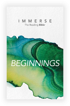 Cover image for the Beginnings, Year 1 - Book 2