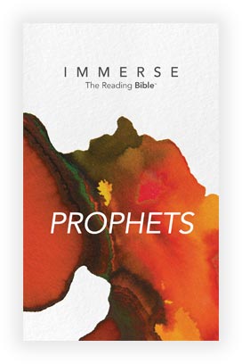 Cover image for the Prophets, Year 2 - Book 2