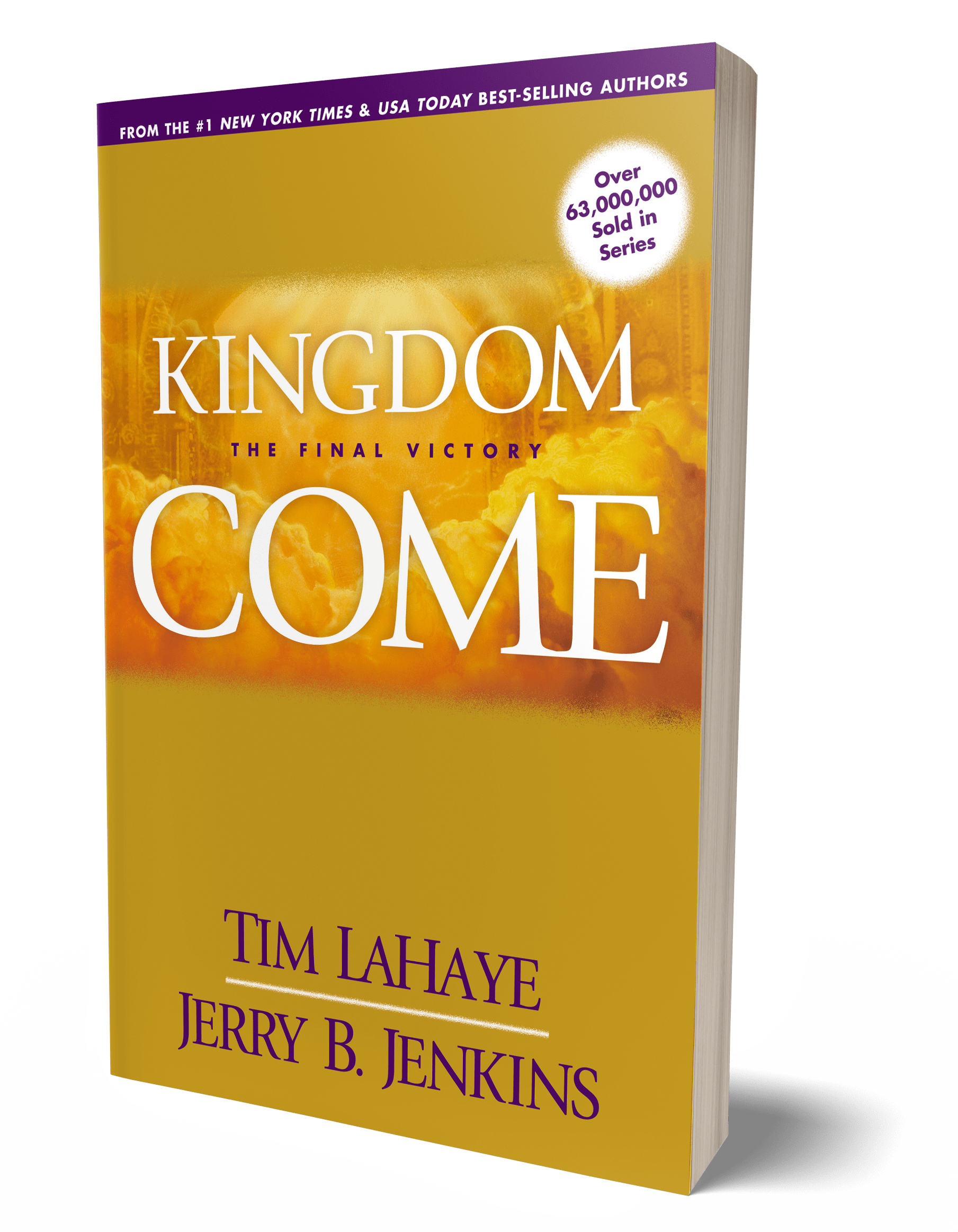 Kingdome Come book