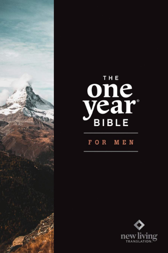 The one year bible for men