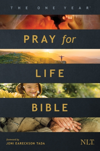 Cover of The One Year Pray for America Bible by Tyndale House Publishers