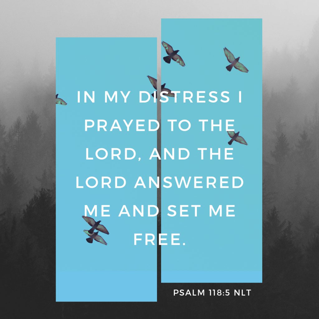 10-freedom-bible-verses-the-arc