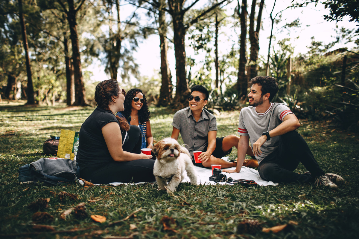 friends sitting outside on the grass in a circle