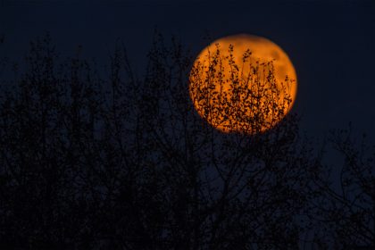 red moon against a black background at night