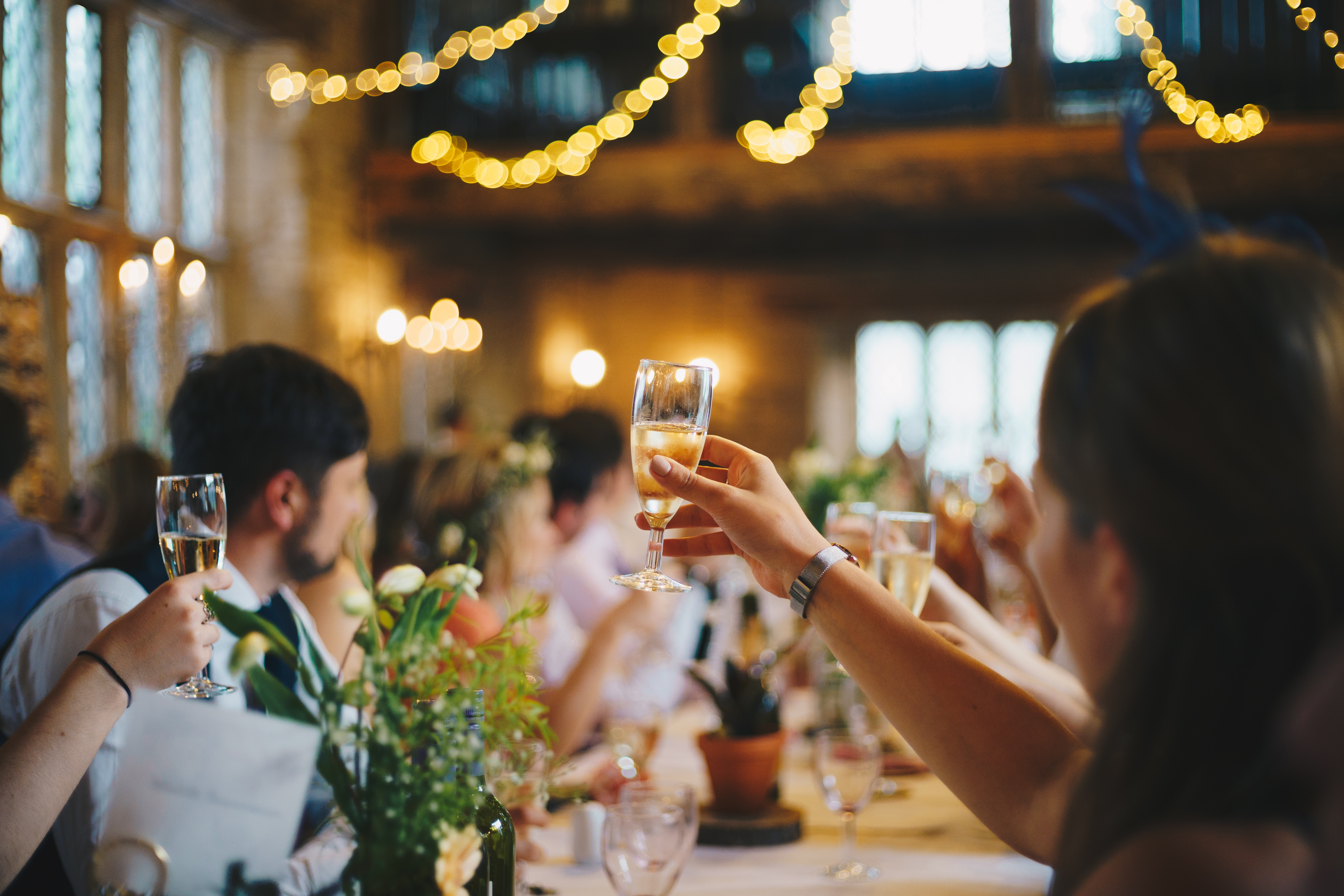 People sitting at a long table raising glasses at a party, warmly lit background