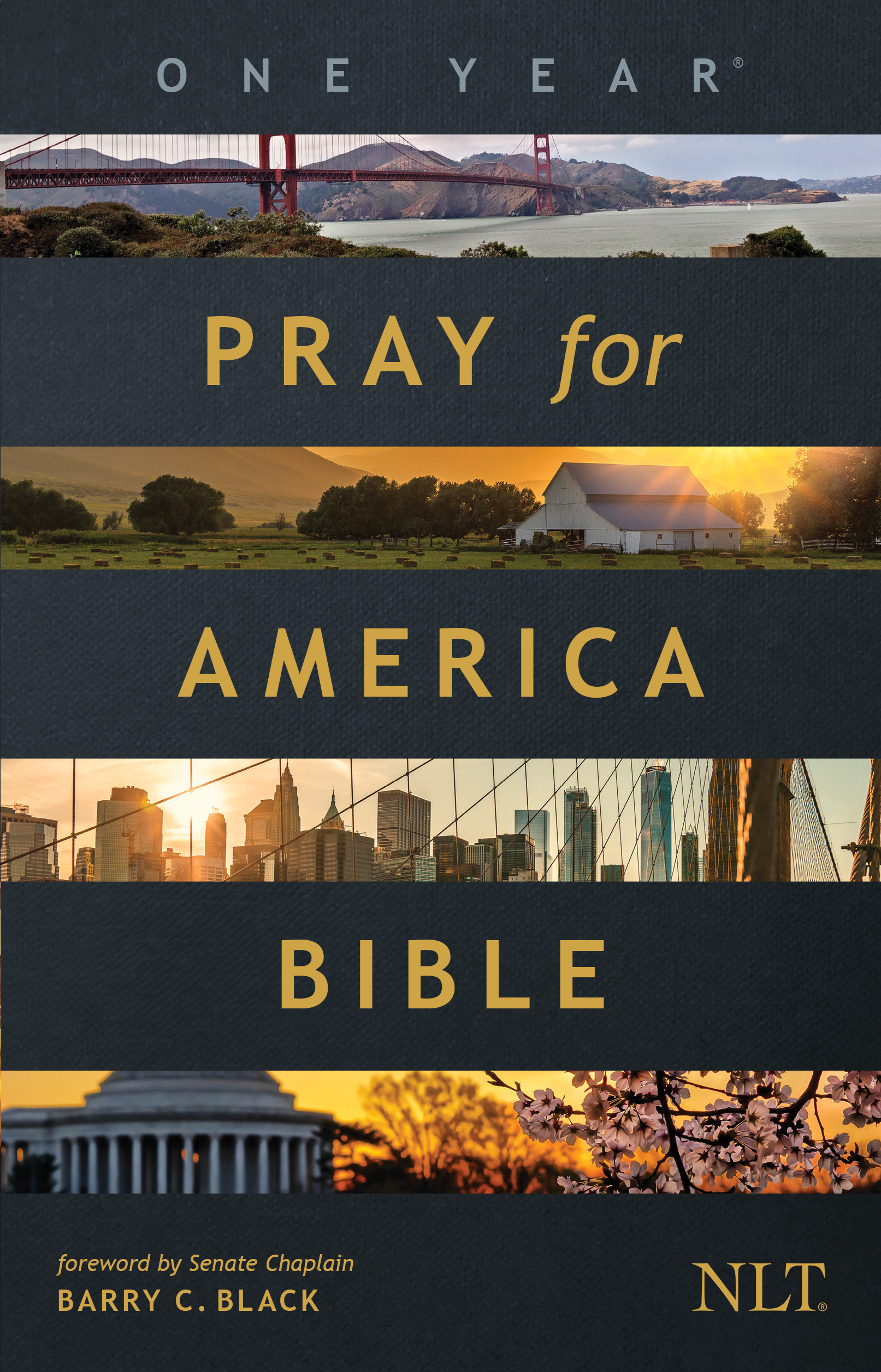 one year pray for america bible nlt cover image