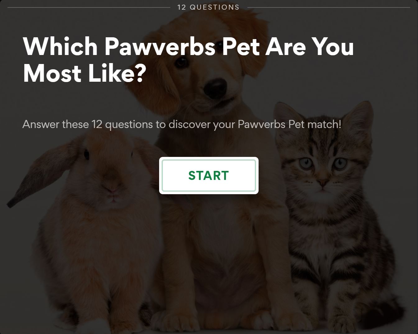 Quiz for Animal Lovers: Which Pawverbs Pet Are You? - The Arc