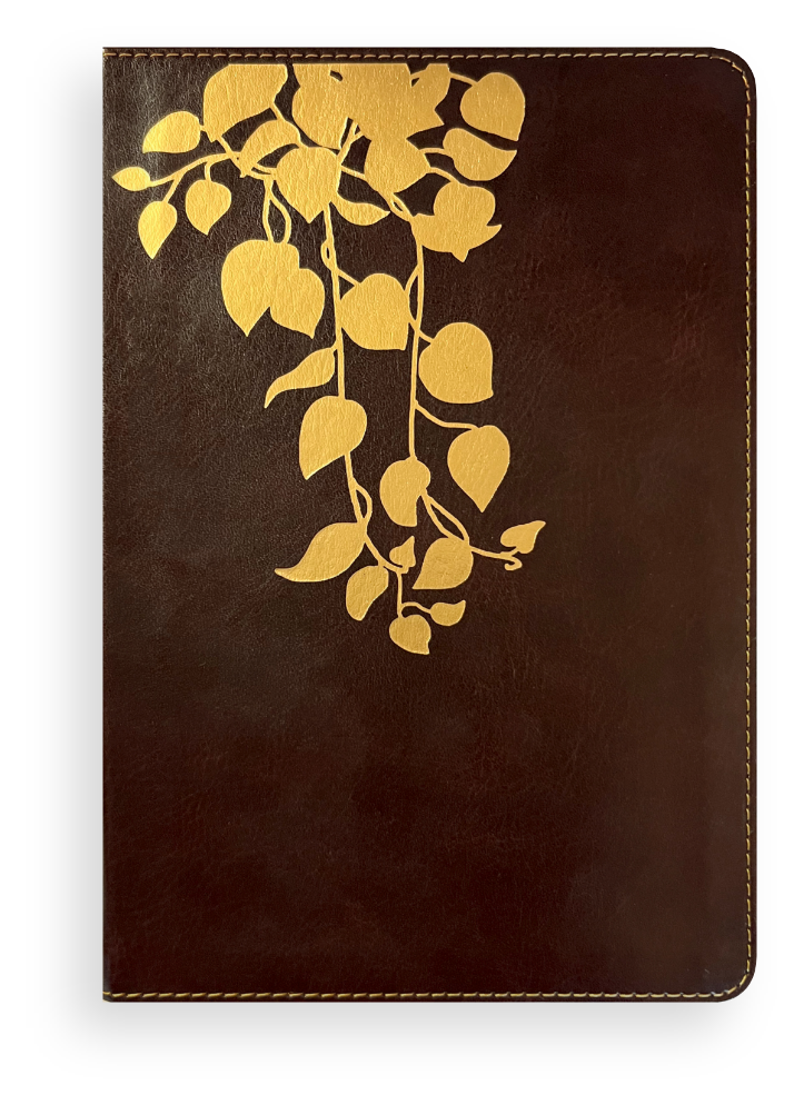 Cover of The THRIVE Bible from Tyndale House Publishers