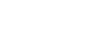 New Believer's Bible logo