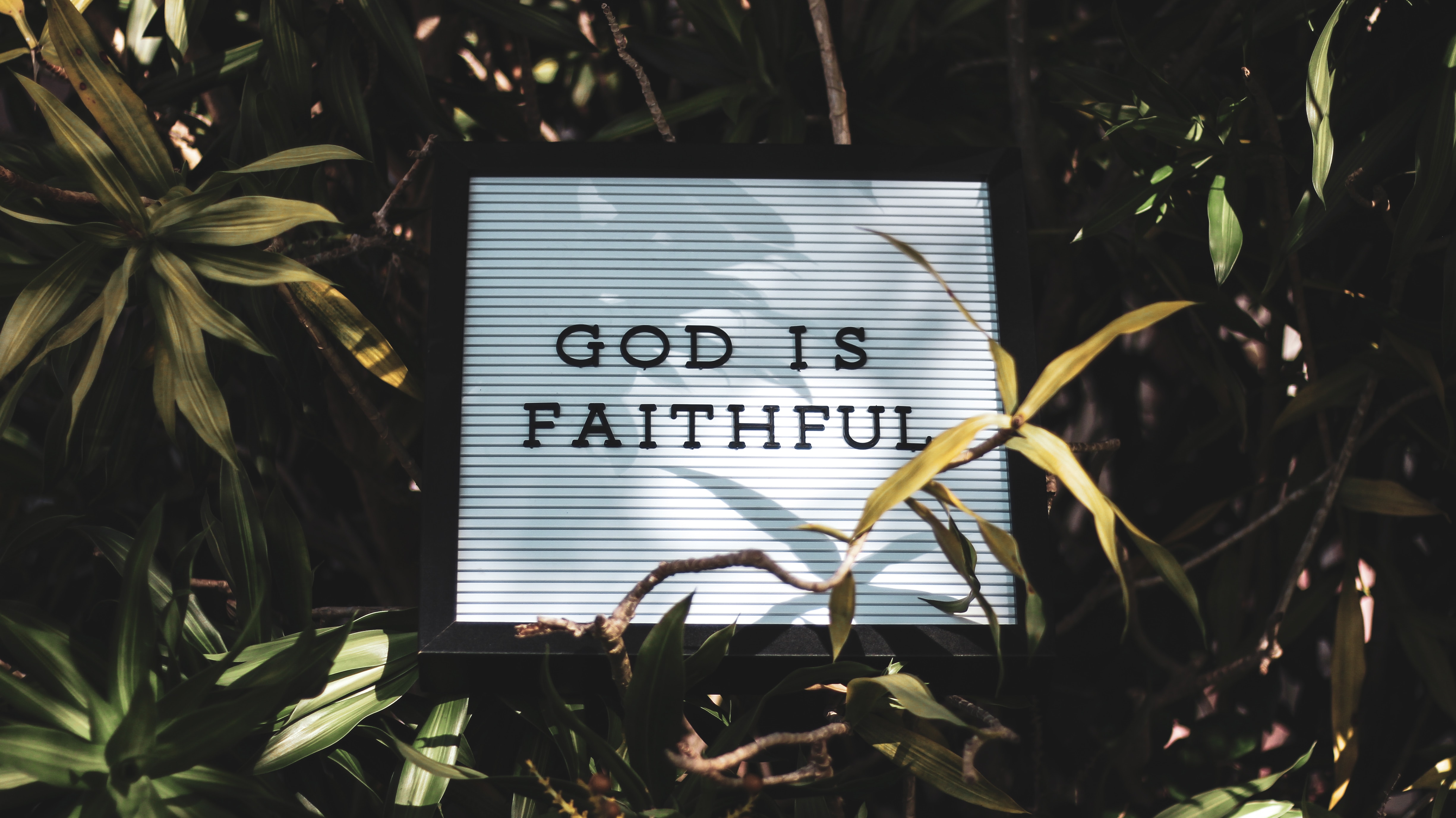 A black framed letter board spells out 'God is faithful' and lays among green plants with a soft light focusing down on it, casting shadows from some of the plants. God is indeed faithful and trustworthy.