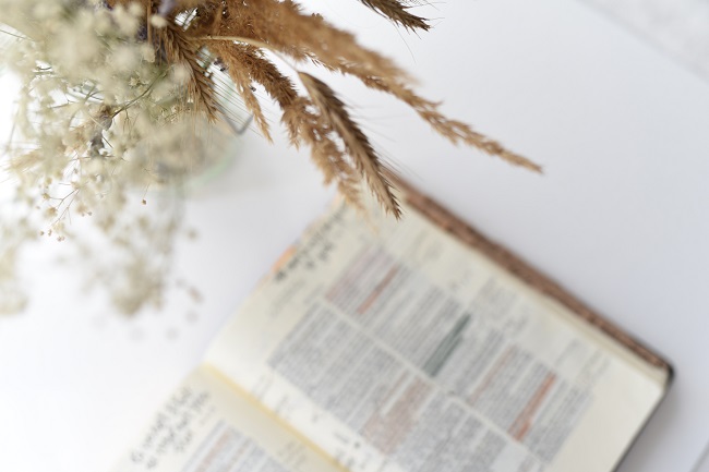 A Bible sits open on a white table, out of focus. Just above it is a vase with white flowers and wheat, in focus. How can you abide in Christ? We find out in this blog post!