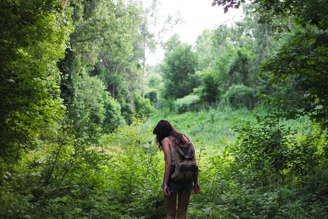 A woman walks through a lush green forest glen. Sometimes learning to walk with Jesus involves worship as well as Bible study.