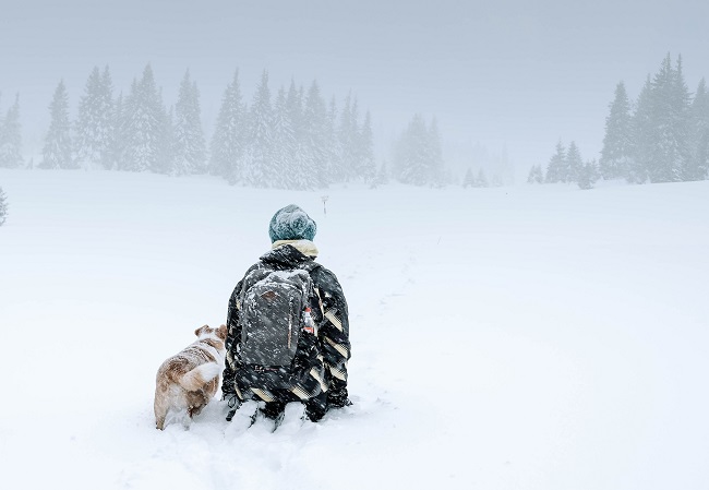 A man and his dog kneel in a snowy field as a more snow falls all around them. We see them from behind. Why did God become a man? Let's explore this question in the blog post!