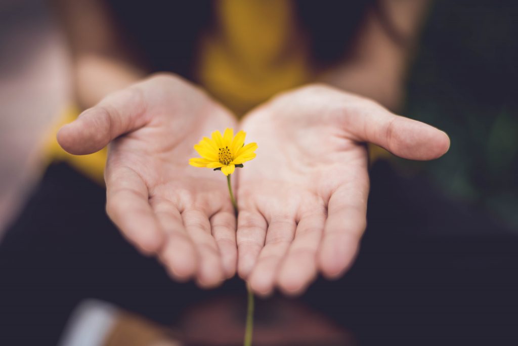 Is there anything God is not willing to forgive? A woman's hands lay open with a yellow flower in between them.
