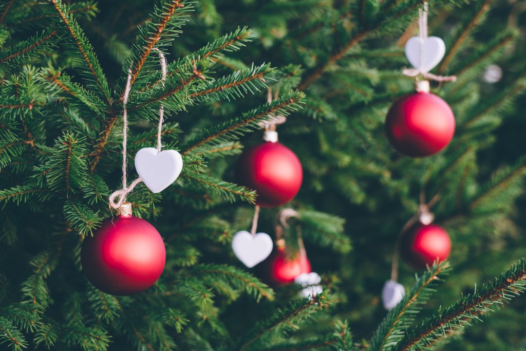 A close up of red and white Christmas decorations on a green Christmas tree. As a new believer, it's okay to hang your regular Christmas decorations.