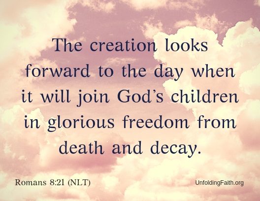 Scripture about Heaven, Romans 8:21 from the New Living Translation; "The creation looks forward to the day when it will join God's children in glorious freedom from death and decay."