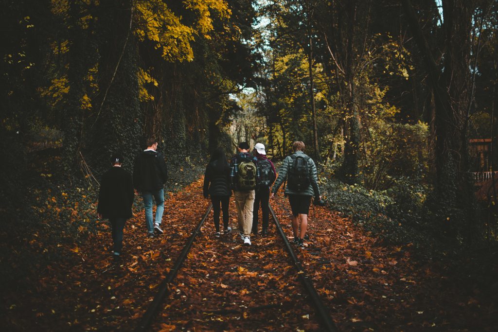 A group of young men walk through a wooded area in the fall. they make up their own small group.